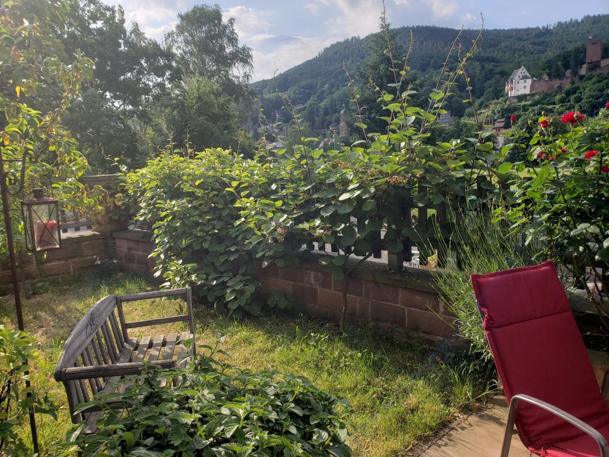 Panorama-Blick Miltenberg, 3 Pers., Zentr., Am Main, Terrasse, Bootverleih, P Exteriör bild