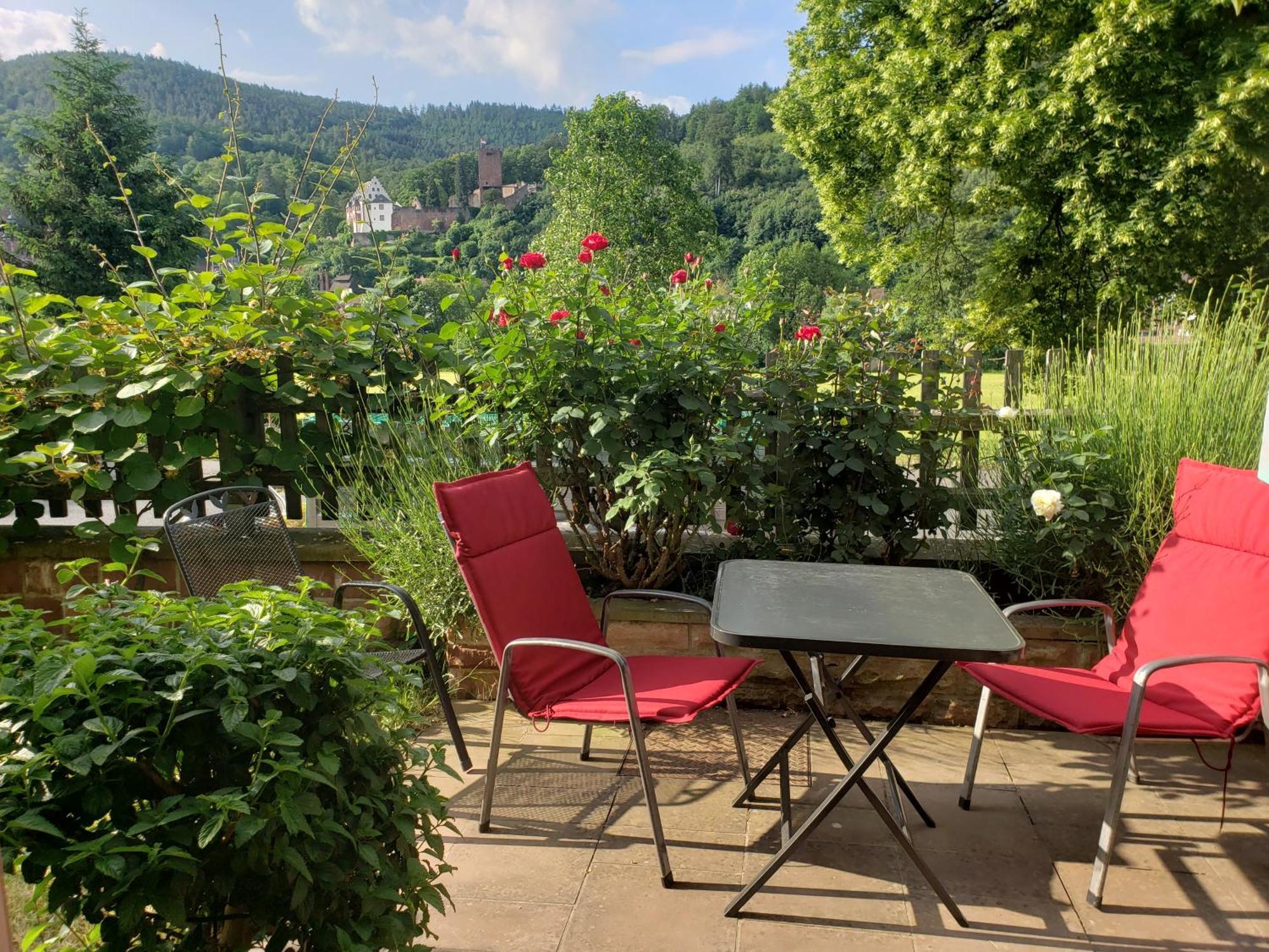 Panorama-Blick Miltenberg, 3 Pers., Zentr., Am Main, Terrasse, Bootverleih, P Exteriör bild