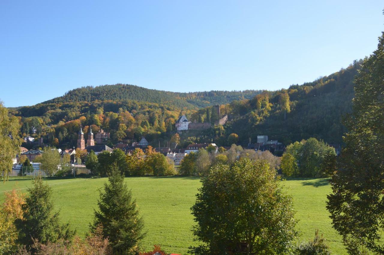 Panorama-Blick Miltenberg, 3 Pers., Zentr., Am Main, Terrasse, Bootverleih, P Exteriör bild