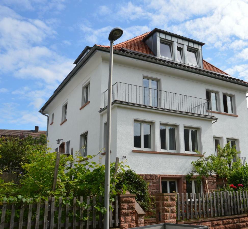 Panorama-Blick Miltenberg, 3 Pers., Zentr., Am Main, Terrasse, Bootverleih, P Exteriör bild