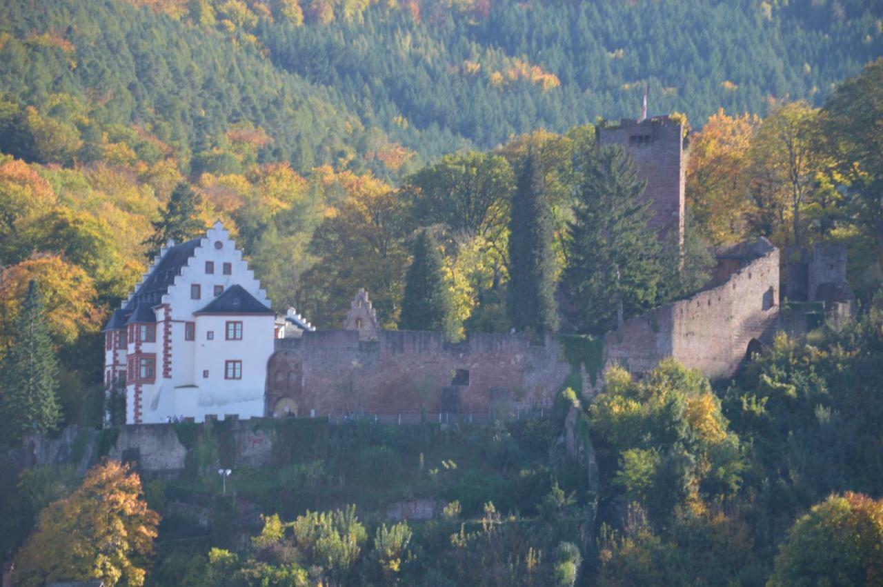 Panorama-Blick Miltenberg, 3 Pers., Zentr., Am Main, Terrasse, Bootverleih, P Exteriör bild
