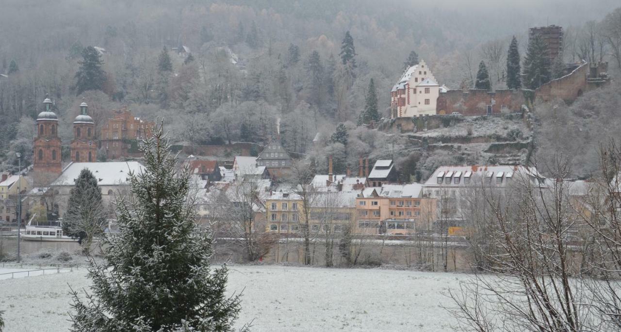 Panorama-Blick Miltenberg, 3 Pers., Zentr., Am Main, Terrasse, Bootverleih, P Exteriör bild