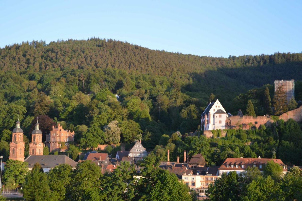 Panorama-Blick Miltenberg, 3 Pers., Zentr., Am Main, Terrasse, Bootverleih, P Exteriör bild